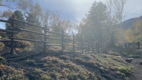 POZDRAV Z CESTY 10 - Etna s energií Šumavy Esence kořenů
