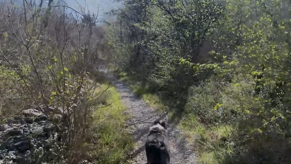 3. 4. 2026 Velikonoční zamyšlení nad znovuzrozením, pozdrav z cesty