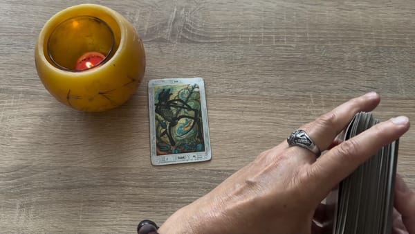 35. týden roku 2024. Aeon Luny v Blížencích a Raku.